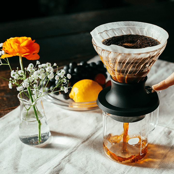 Hario V60 Immersion Dripper Switch (Incl. Paper Filters) - Barista Delight